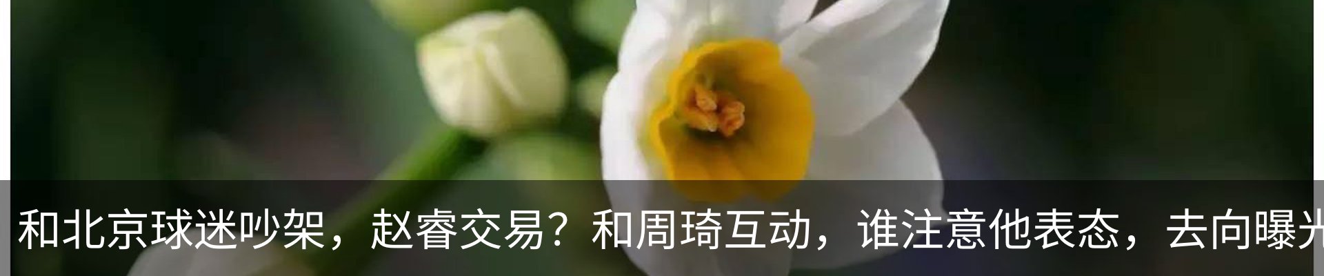 资讯中心