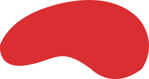 UED官网体育案例